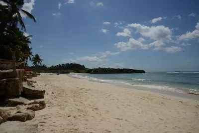 DSC_7644 (Large).JPG